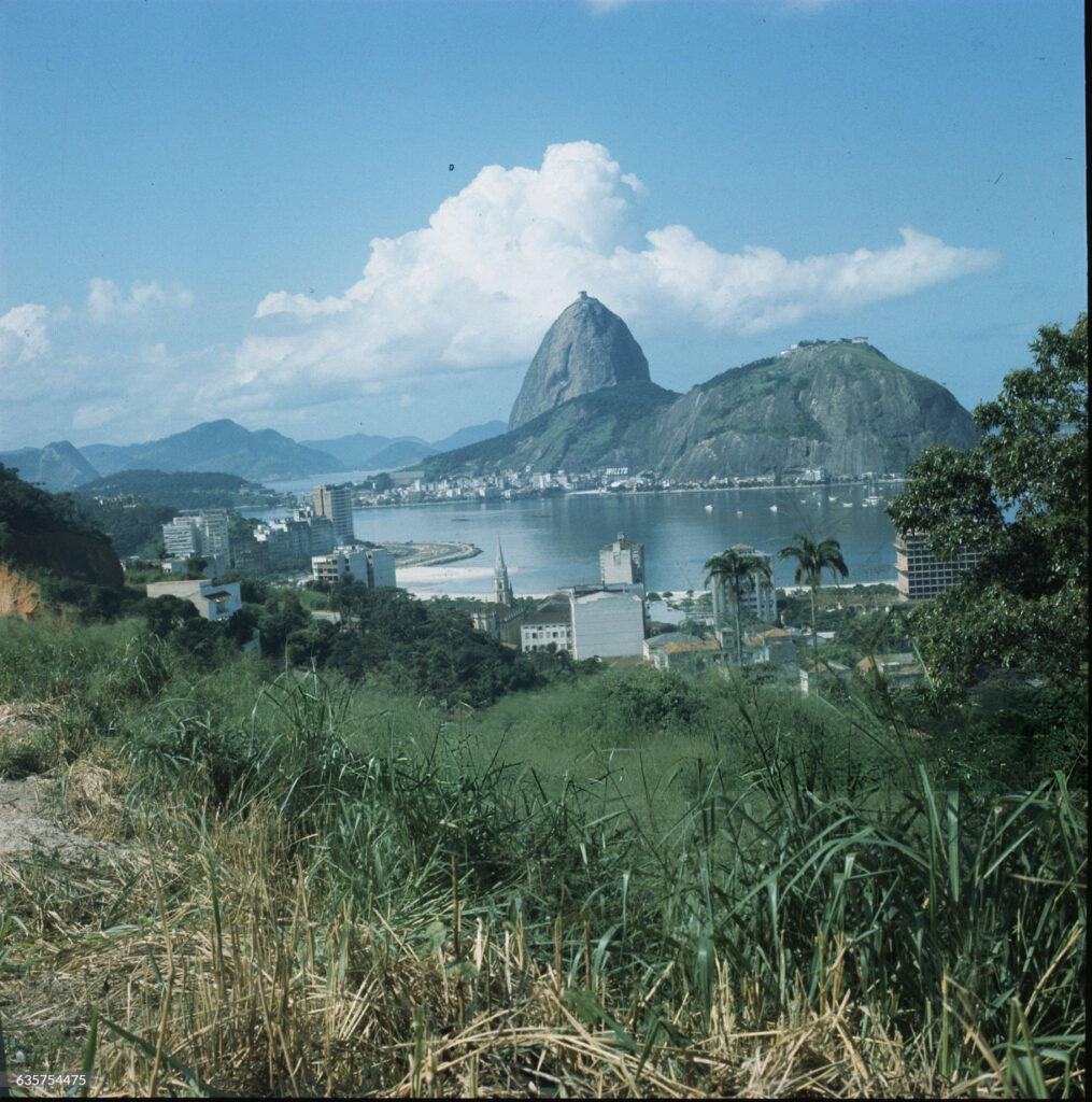 rio de zhanejro zelyonye holmy