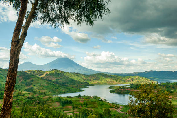 Руанда хочет быть Швейцарией? 1 ruanda
